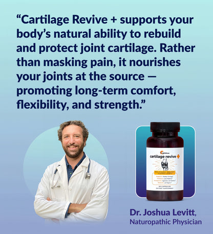 Cartilage Revive Plus